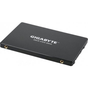 Gigabyte 1TB, GP-GSTFS31100TNTD