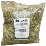 Dáme seno Seno BIO české První seč 0,8 kg – Hledejceny.cz