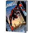 Daredevil: Guardian Devil Gallery Edition Smith KevinPevná vazba