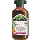 Antica Erboristeria Rinforzante Fico d´India Shampoo 250 ml