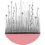 Iveta Fiddis Wiedermann | Louka Rám: Dubový, Velikost: 30 x 20 cm – Sleviste.cz