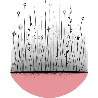 Iveta Fiddis Wiedermann | Louka Rám: Dubový, Velikost: 30 x 20 cm – Sleviste.cz