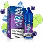 Just Juice Salt ICE Blackcurrant & Lime 10 ml 20 mg – Sleviste.cz