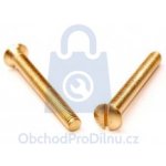 Šroub se zápustnou čočkovou hlavou a plochou drážkou, DIN 964, mosazný M3 x 16 - hobby balení, balení 1 ks – Hledejceny.cz