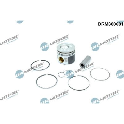Dr.Motor Automotive DRM300601 – Hledejceny.cz