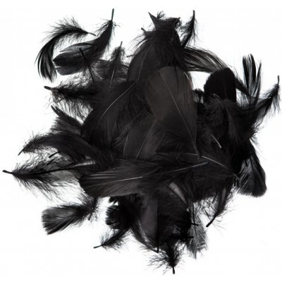 DP Craft Peříčka 5-12 cm, 10 g černá – Zboží Mobilmania