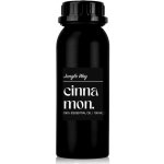 Jungle Way Skořice 100% esenciální olej 100 ml – Hledejceny.cz