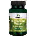 Swanson Probiotikum Lactobacillus Gasseri 60 kapslí – Hledejceny.cz