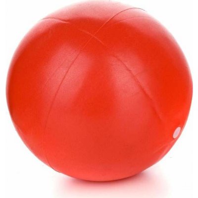 SPORTWELL Mini ball 20 cm – Zboží Mobilmania