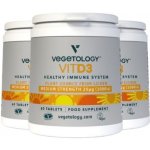 Vegetology Vit D3 Vitashine 1000 IU 60 tablet – Hledejceny.cz