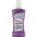 Dentamax Violet Care 500 ml – Sleviste.cz