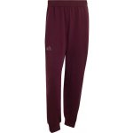 adidas Climacool Tennis Straight Pants Maroon – Hledejceny.cz