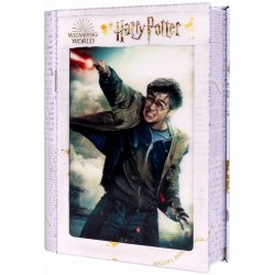 HM Studio 3D puzzle Harry Potter 300 ks