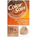 Color & Soin barva na vlasy 11A Pískově popelavá blond 135 ml