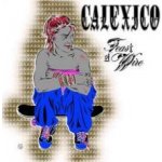 Calexico - Feast Of Wire LP – Hledejceny.cz