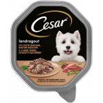 Cesar Adult Dog Landküche hovězí krůtí a bylinky v omáčce 14 x 150 g – Zboží Mobilmania