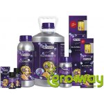 Atami B´Cuzz Bloombastic 325 ml – Zboží Dáma