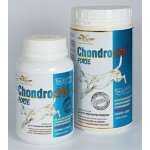 Gelacan Chondro Forte plv 500 g – Hledejceny.cz