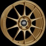 OZ SUPERFORGIATA 11x19 5x130 ET40 race gold – Hledejceny.cz