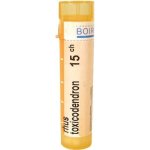 RHUS TOXICODENDRON POR 15CH GRA 4G – Zboží Mobilmania