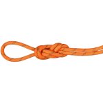 Mammut Alpine Dry 8 mm 50 m – Zbozi.Blesk.cz