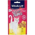 Vitakraft Cat Yums Sýr 40 g – Hledejceny.cz