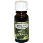 Essential Oil přírodní silice Eukalypt 10 ml – Hledejceny.cz