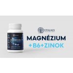 Vitalmix Magnézium+b6+zinok 90+20 tablet – Hledejceny.cz