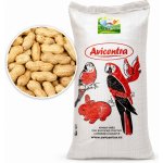 Avicentra Burské oříšky 10 kg – Zboží Mobilmania