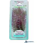 Tetra Myriophyllum heterophyllum - Red Foxtail 15 cm – Sleviste.cz