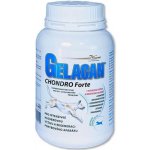 Orling - Chondrocan Forte 500 g – Hledejceny.cz