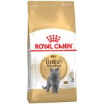 Royal Canin Breed Feline British Shorthair Adult 10 kg – Hledejceny.cz