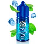Just Juice Salt ICE Pure Mint 10 ml 11 mg – Sleviste.cz