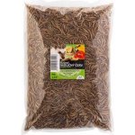 UGF Sušený moučný červ 0,5 kg – Sleviste.cz