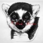 Samolepka lemur kata - archiv c463 - Malá - přibližně jako pohlednice – Hledejceny.cz
