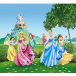 Závěsy foto Princess 180x160cm FCS XL 4319 – Hledejceny.cz