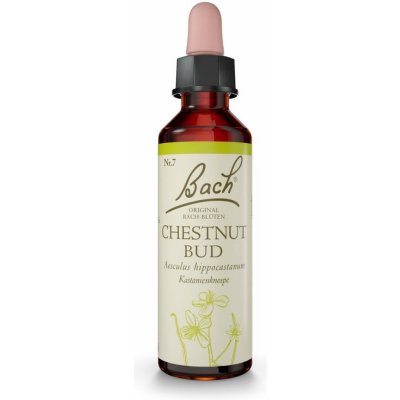 Nelsons Chestnut Bud 20 ml – Hledejceny.cz