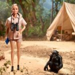 Barbie Inspirující Ženy Jane Goodall – Hledejceny.cz