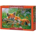 Castorland Liščí snění 500 dílků – Zboží Dáma