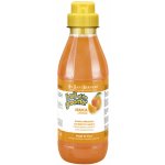IV San Bernard ARANCIA 3250 ml – HobbyKompas.cz