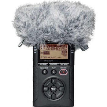 Tascam WS-11