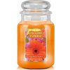 Svíčka Country Candle SUNSHINE & DAISIES 652 g