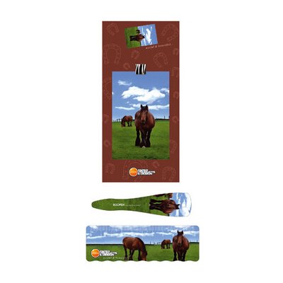 Sada 008 Pastva – Hledejceny.cz
