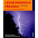 Cévní mozková příhoda – Hledejceny.cz