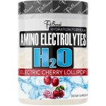 FitBoom Electrolytes H2O 500 g – Hledejceny.cz