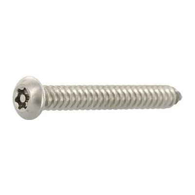 Pojistný vrut 4.8x25 TX25 PIN, nerez A2 (100 ks) – Hledejceny.cz