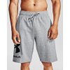 Pánské kraťasy a šortky Under Armour UA Rival FLC Big Logo shorts -GRY