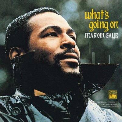 MARVIN GAYE - WhatS Going On - Swamp Green LP – Hledejceny.cz