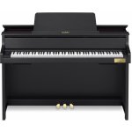 Casio GP-310 – Hledejceny.cz