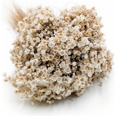 mech-mech.cz Sušená Glixia Marcela - (Marcela) - Přírodní – Zboží Dáma